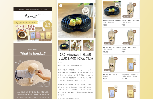 株式会社Rise｜新潟のWeb制作会社ケーネットの制作事例